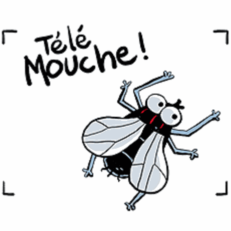Logo télé-mouche